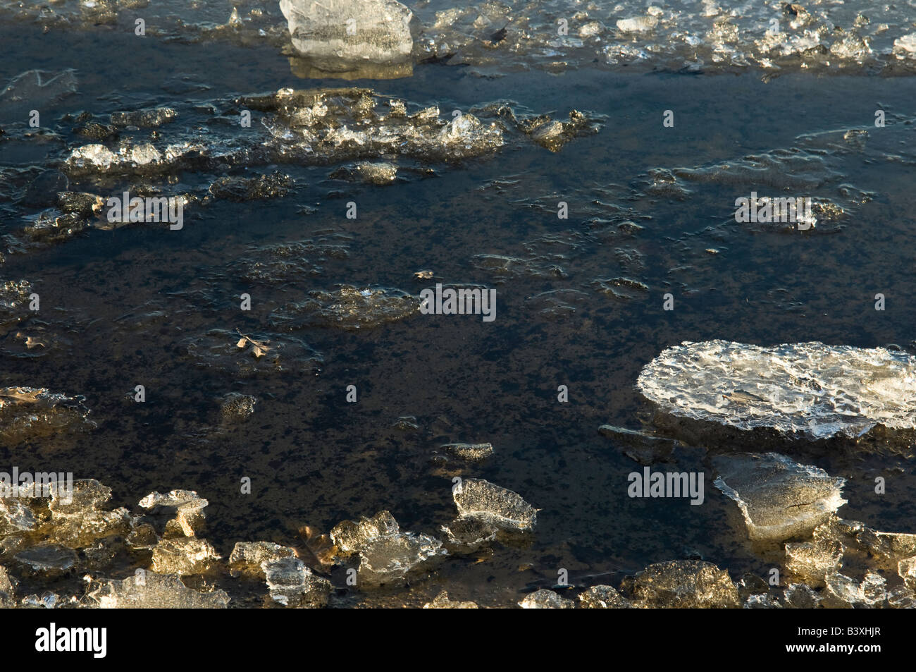 Ice floes fusione durante il disgelo a molla Foto Stock