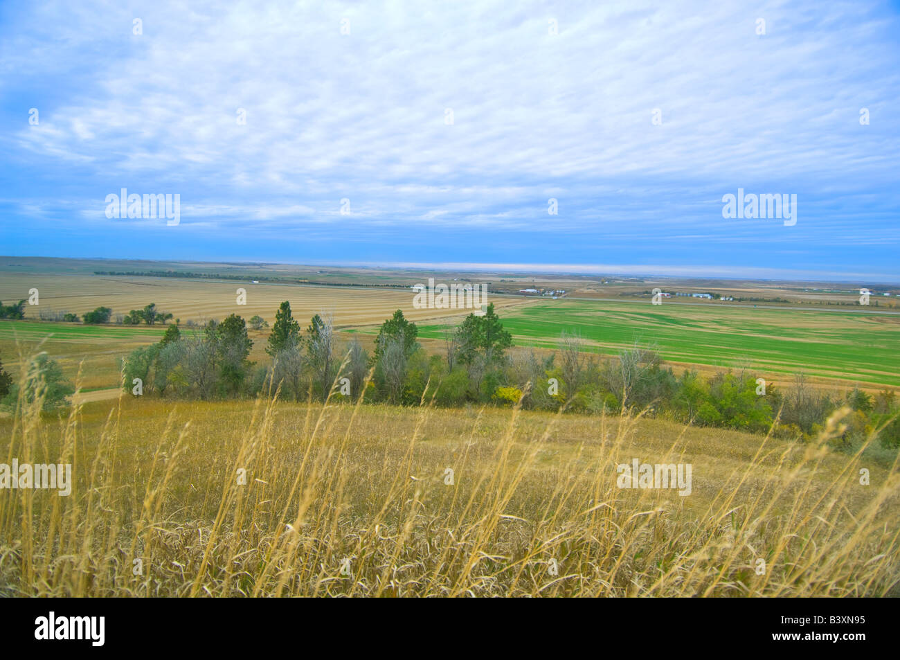 Vista panoramica del North Dakota paesaggio vicino nuova Salem North Dakota Foto Stock