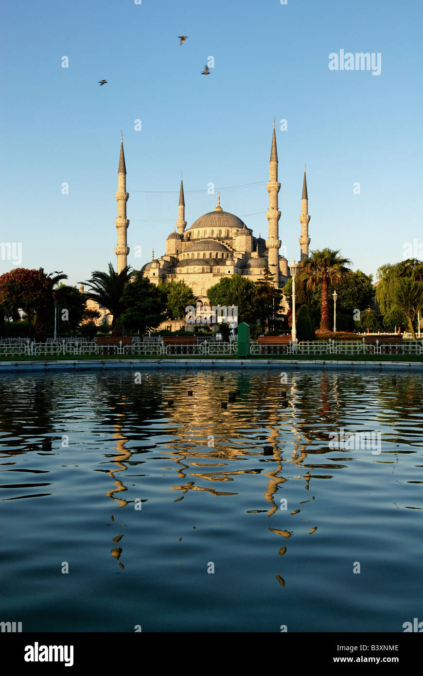 La moschea blu riflessa in un stagno Foto Stock