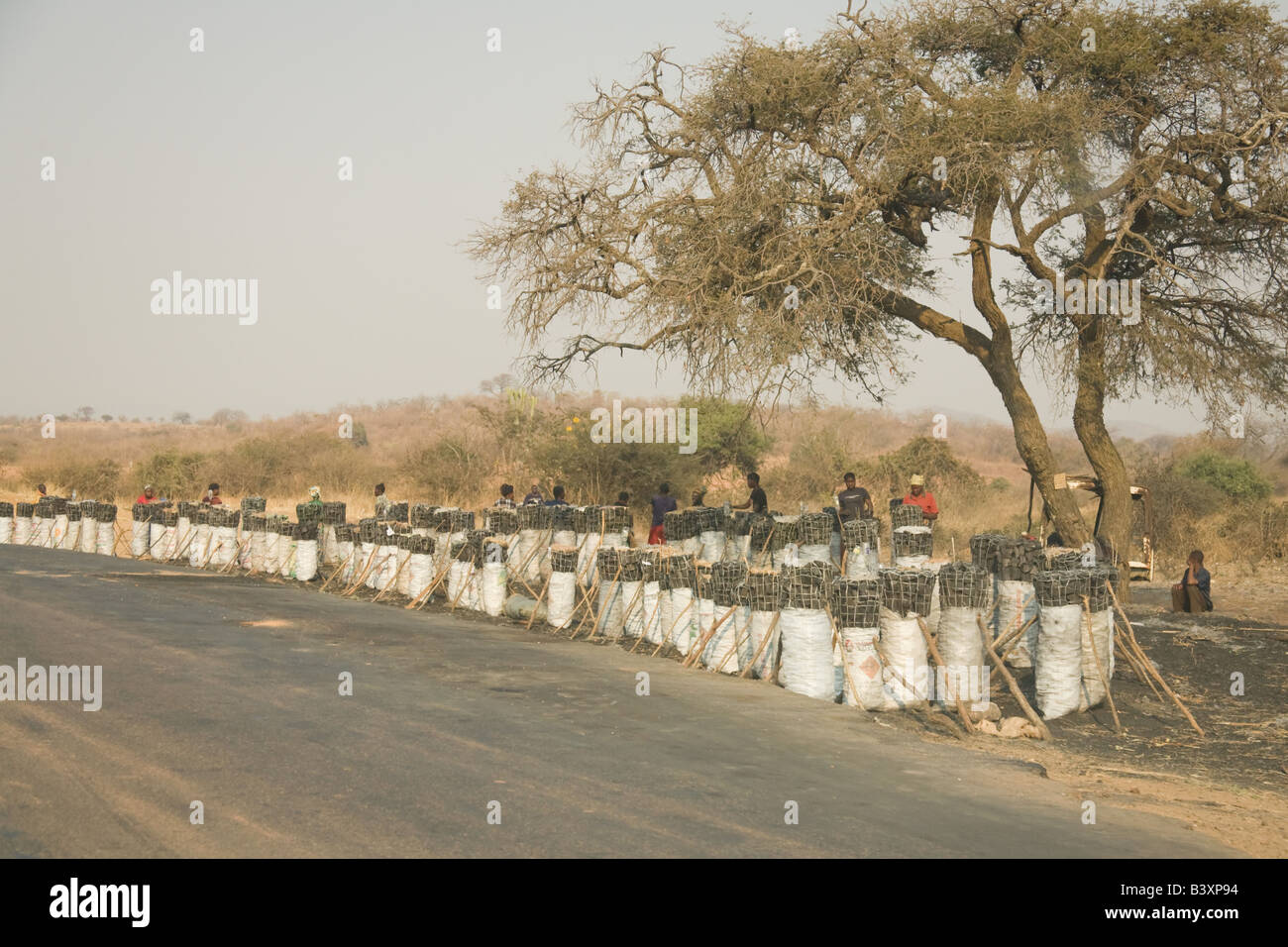 Stallo stradale sacchetti di vendita del carbone di legna, Livingstone, Zambia, Africa Foto Stock