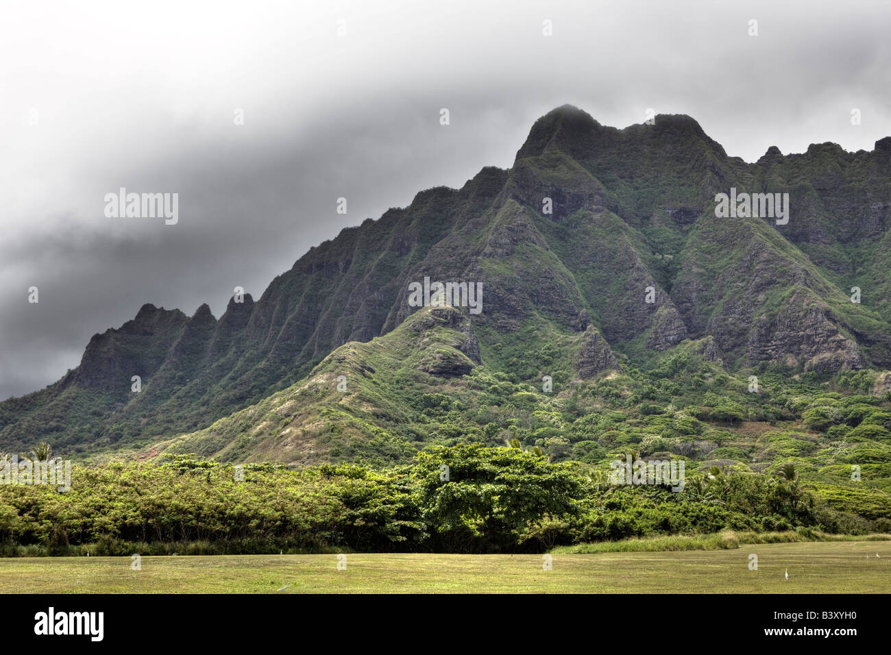 Gamma di Koolau vicino Kualoa Ranch Oahu Oceano Pacifico Hawaii USA Foto Stock