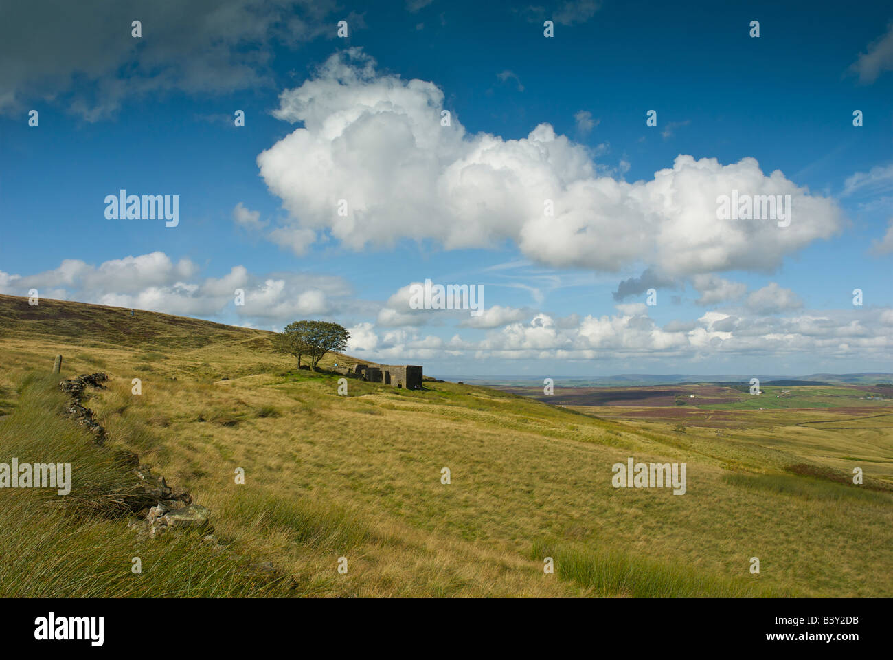 Top Withens, eventualmente l'ispirazione per Emily Bronte di Wuthering Heights, Haworth Moor, West Yorkshire, Inghilterra, Regno Unito Foto Stock