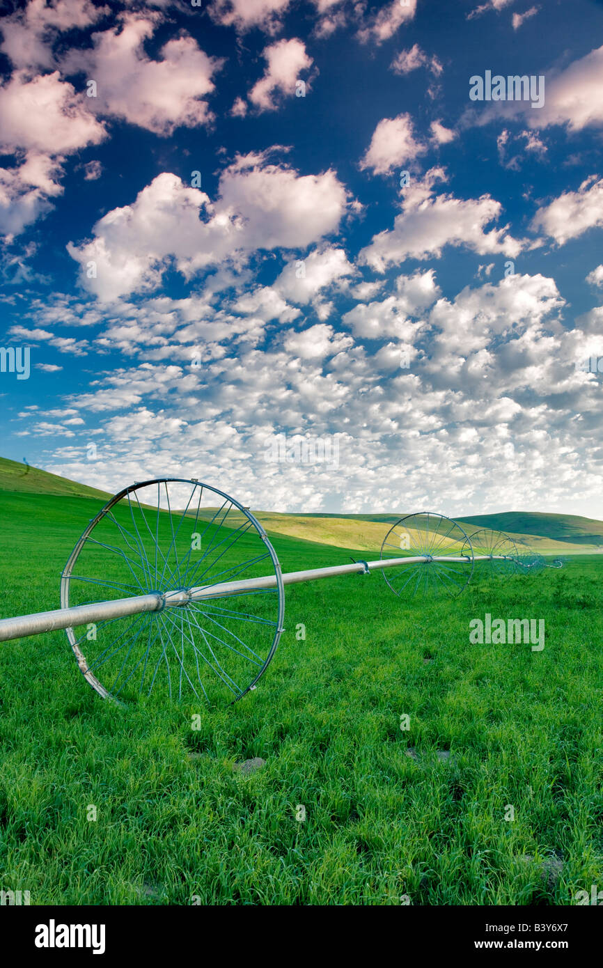 Ruota di irrigazione in pascolo con cielo nuvoloso Wallowa County Oregon Foto Stock