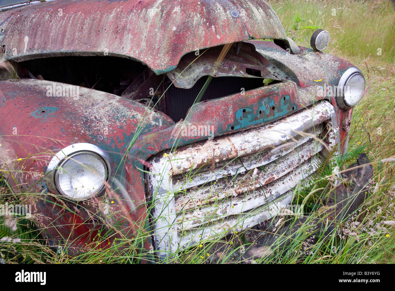 Vecchio carrello nel campo vicino Sequim Washington Foto Stock