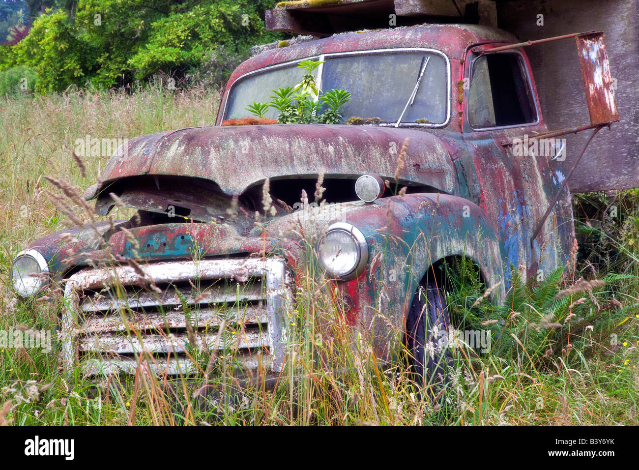 Vecchio carrello nel campo vicino Sequim Washington Foto Stock