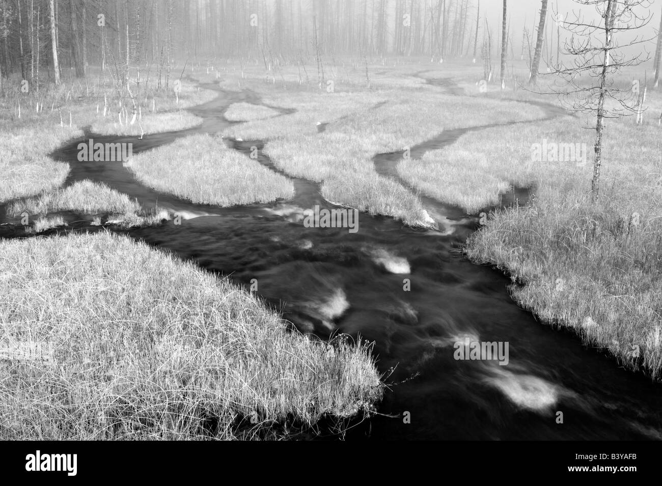 Prato con caduta erba colorata e hotspring stream il Parco Nazionale di Yellowstone Wyoming Foto Stock