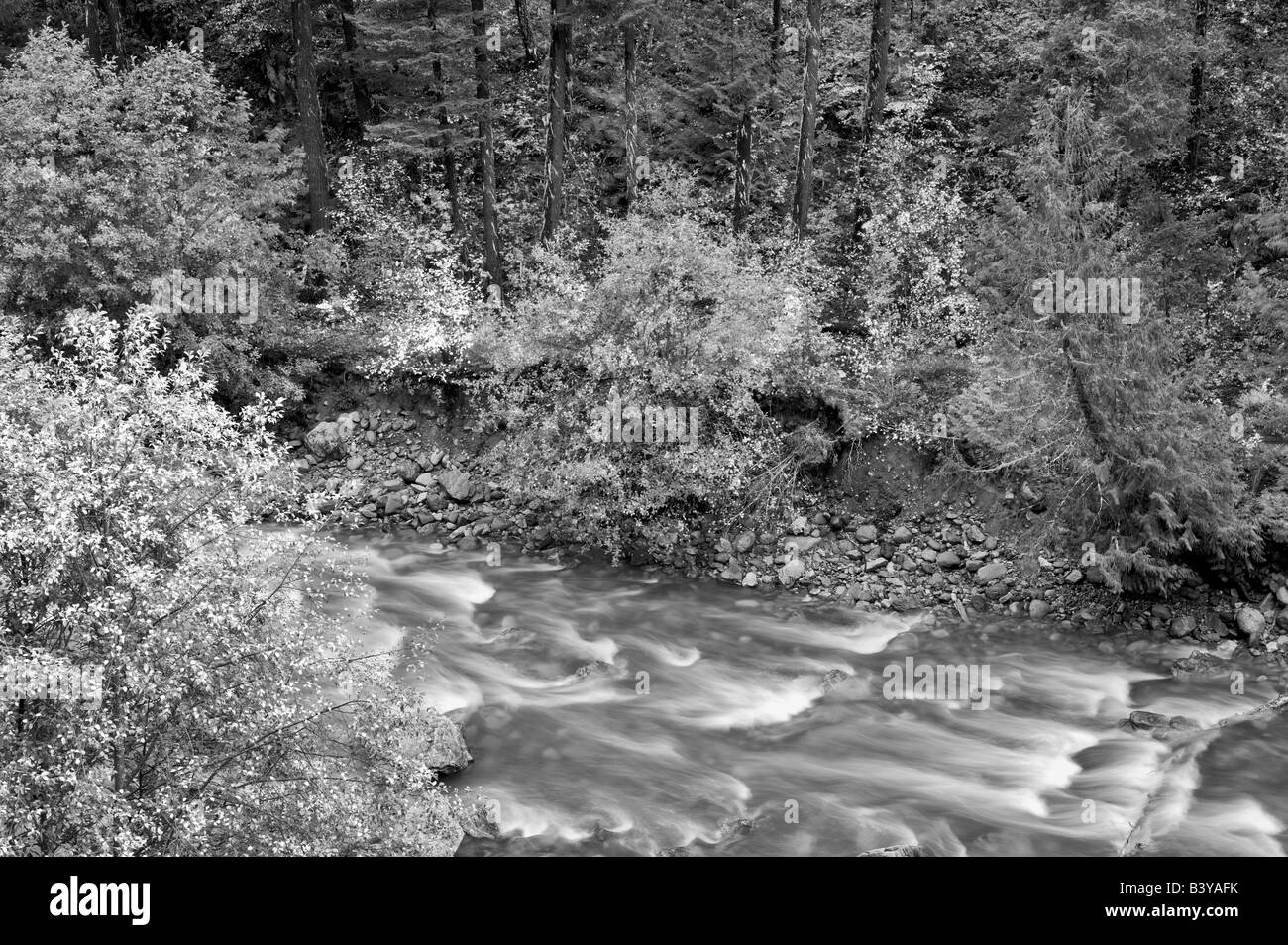 Il granito Creek con caduta di vite colorata aceri Parco nazionaledi North Cascades Washington Foto Stock