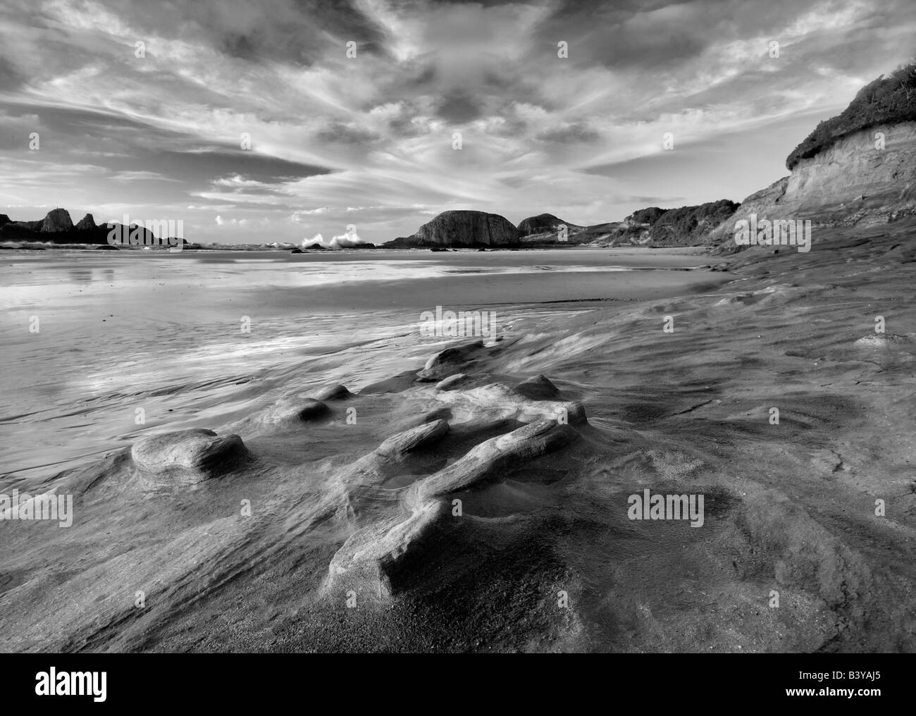 Roccia Arenaria struttura sulla riva di Seal Rock Oregon Foto Stock