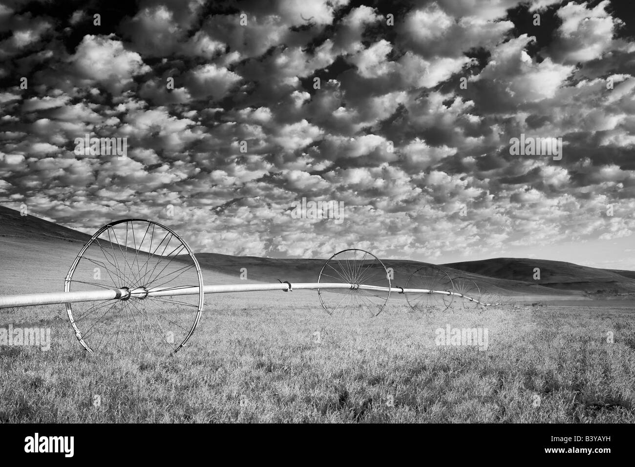 Ruota di irrigazione in pascolo con cielo nuvoloso Wallowa County Oregon Foto Stock