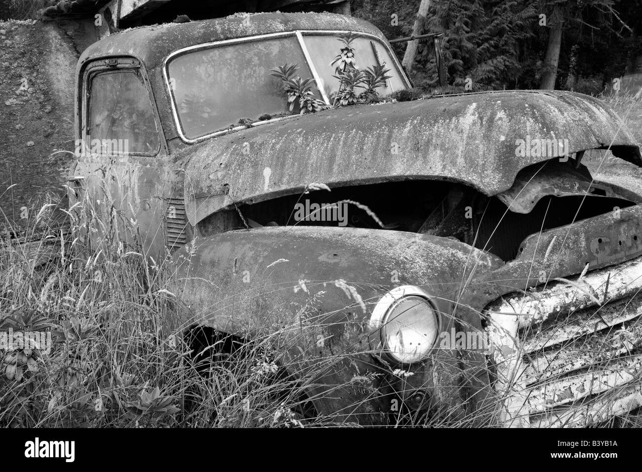 Vecchio carrello nel campo vicino Sequim Washington Foto Stock