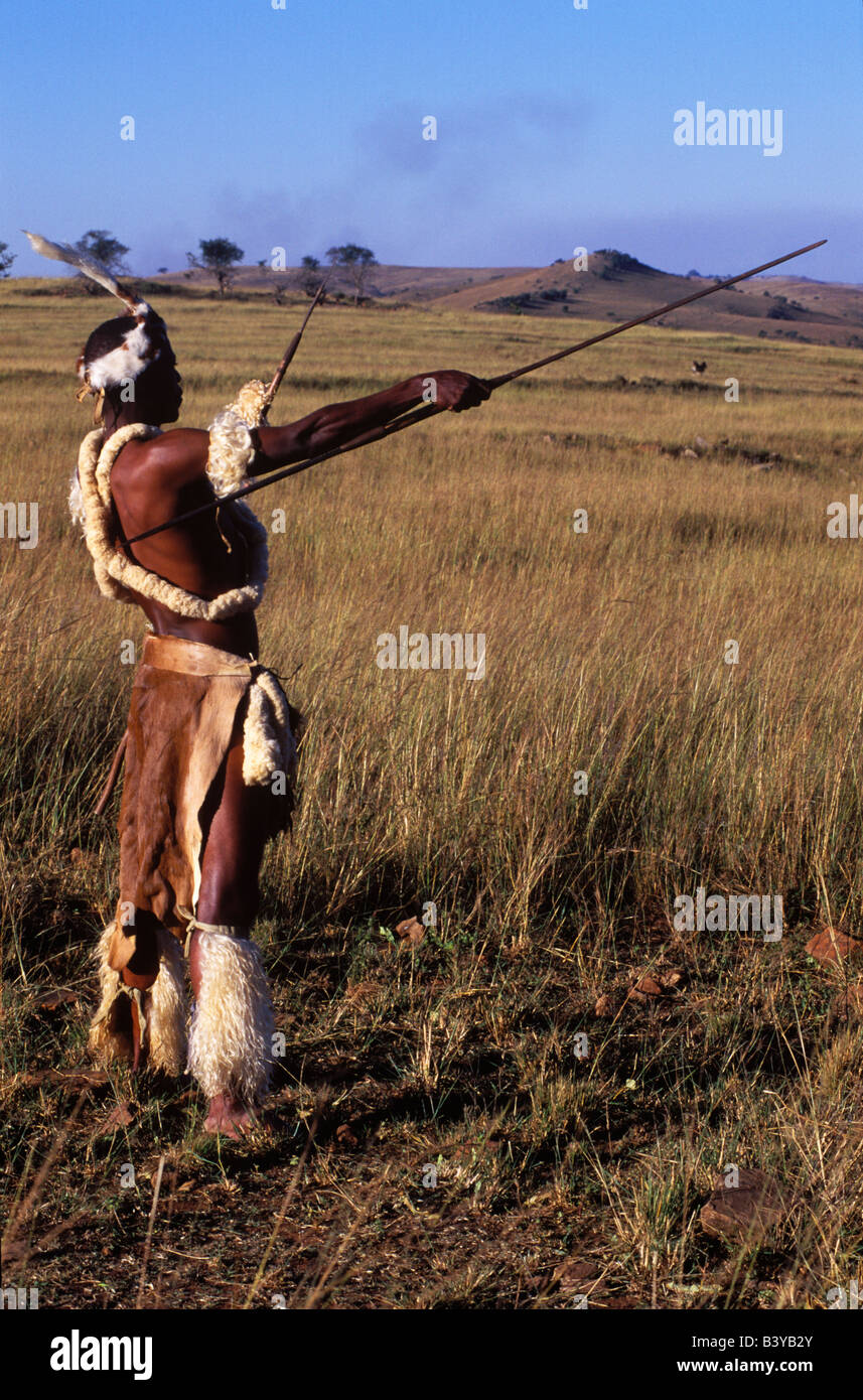 Sud Africa, KwaZulu Natal. Zulu warrior si affaccia sul veldt Foto Stock