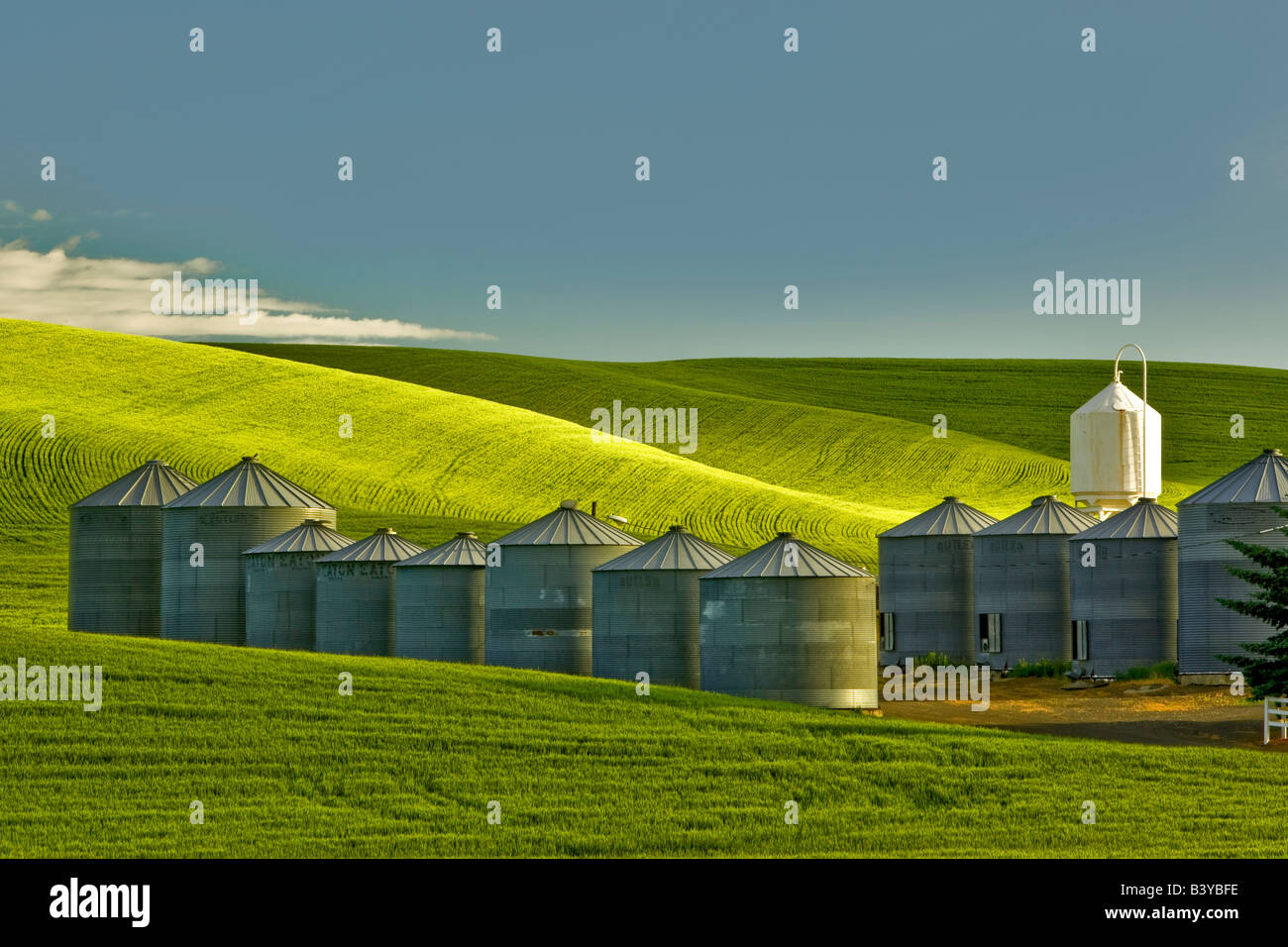 Silos per il grano e il campo di grano della Palouse Washington Foto Stock