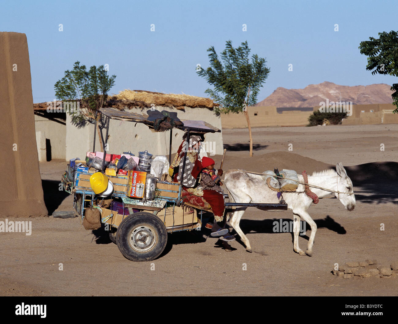 Sudan, Soleb. Un commerciante veli il suo commercio da un asino carrello nel piccolo villaggio di Soleb, vicino al fiume Nilo. Foto Stock
