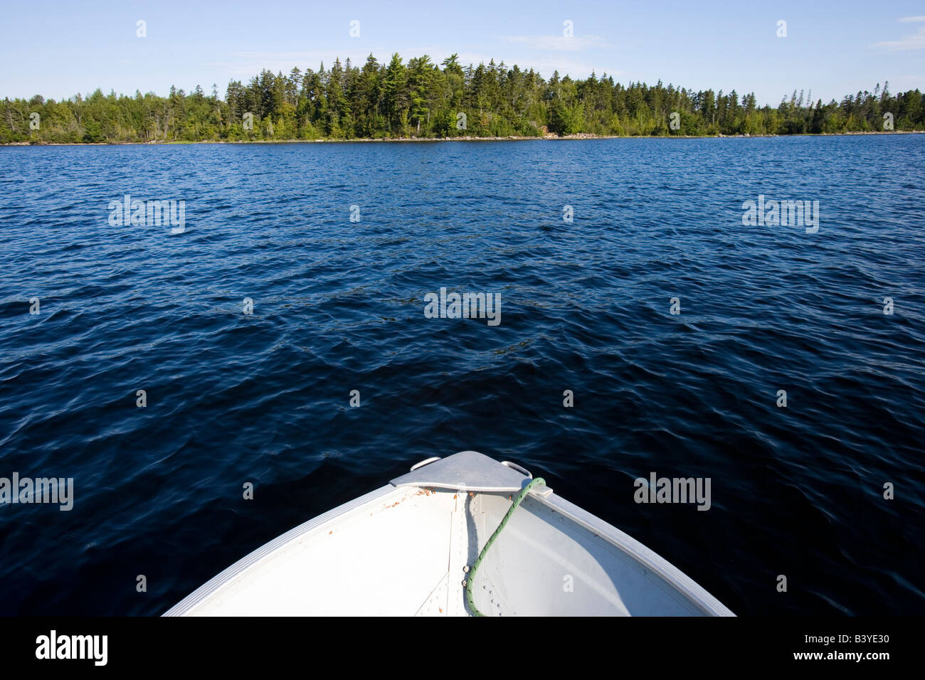 Il remote litorale nordoccidentale di Moosehead Lago.. Noto come Big W. di proprietà di prugna Creek e slated per un sviluppo di alloggiamento Foto Stock