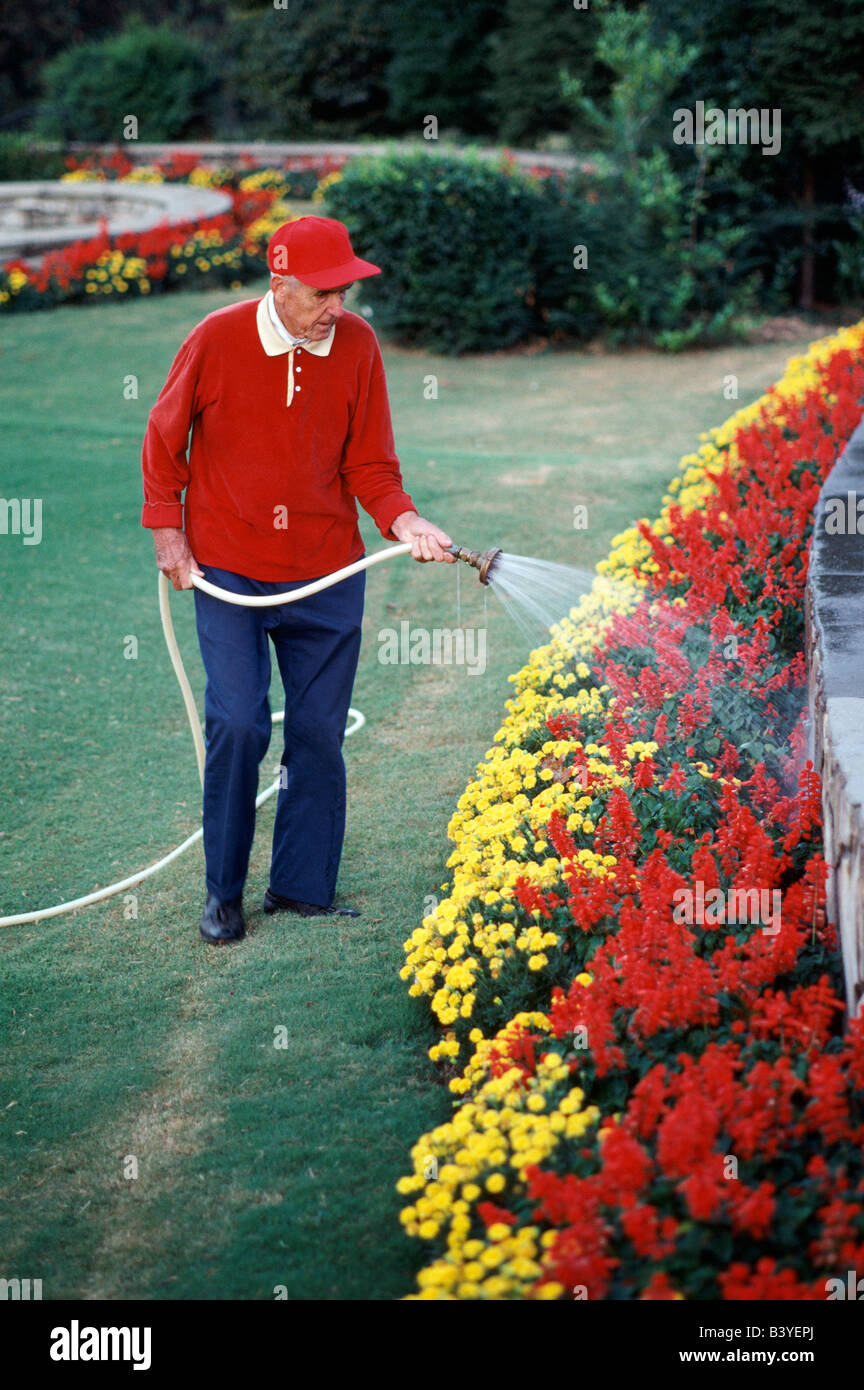 Uomo anziano, il custode del campo da golf di giardini, acque la caduta fiori; Chatanooga, Tennessee, Stati Uniti d'America Foto Stock