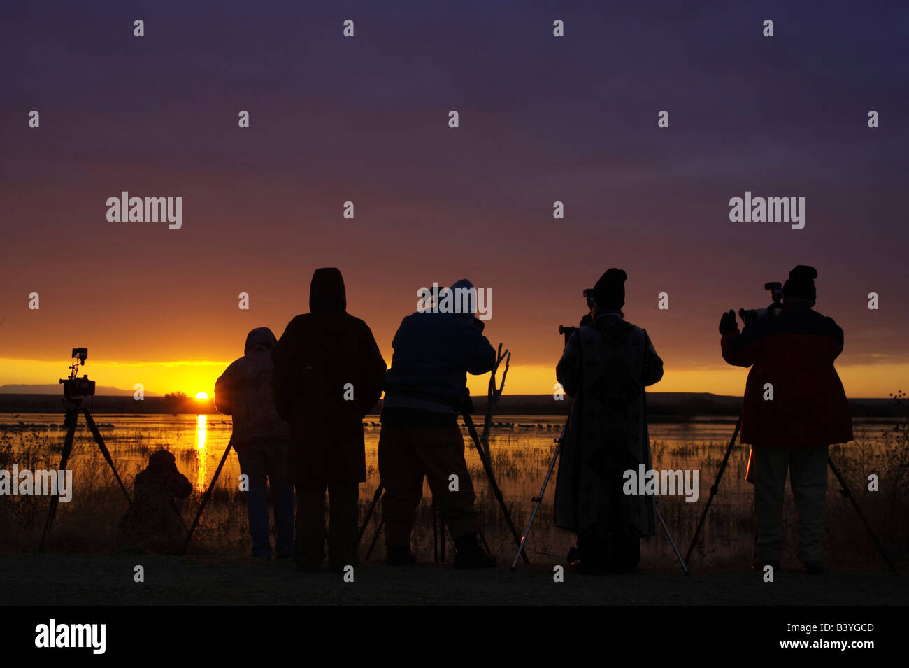 Stati Uniti d'America, Nuovo Messico, Bosque del Apache National Wildlife Refuge. I fotografi di uccelli una linea costiera paludosa di sunrise. Foto Stock