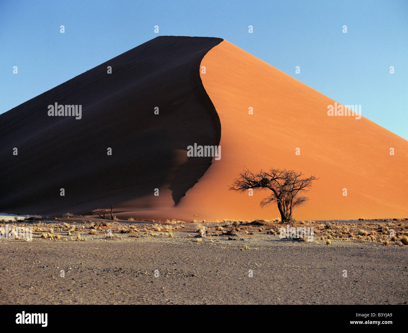 La Namibia, Namib Desert, Sesriem. In mattina presto e nel tardo pomeriggio, le dune a Sesriem nel Parco Namib-Naukluft, sono uno spettacolo mozzafiato. Modellato da, e il cambio con il vento, queste dune variano dal rosso mattone di albicocca e cambiare per sempre il colore con l'angolo del sun. Il più grande di lievitare enormemente 1.000 piedi sopra la circostante pianura e sono dette per essere il più grande dune del mondo; essi sono certamente le più pittoresche. Foto Stock