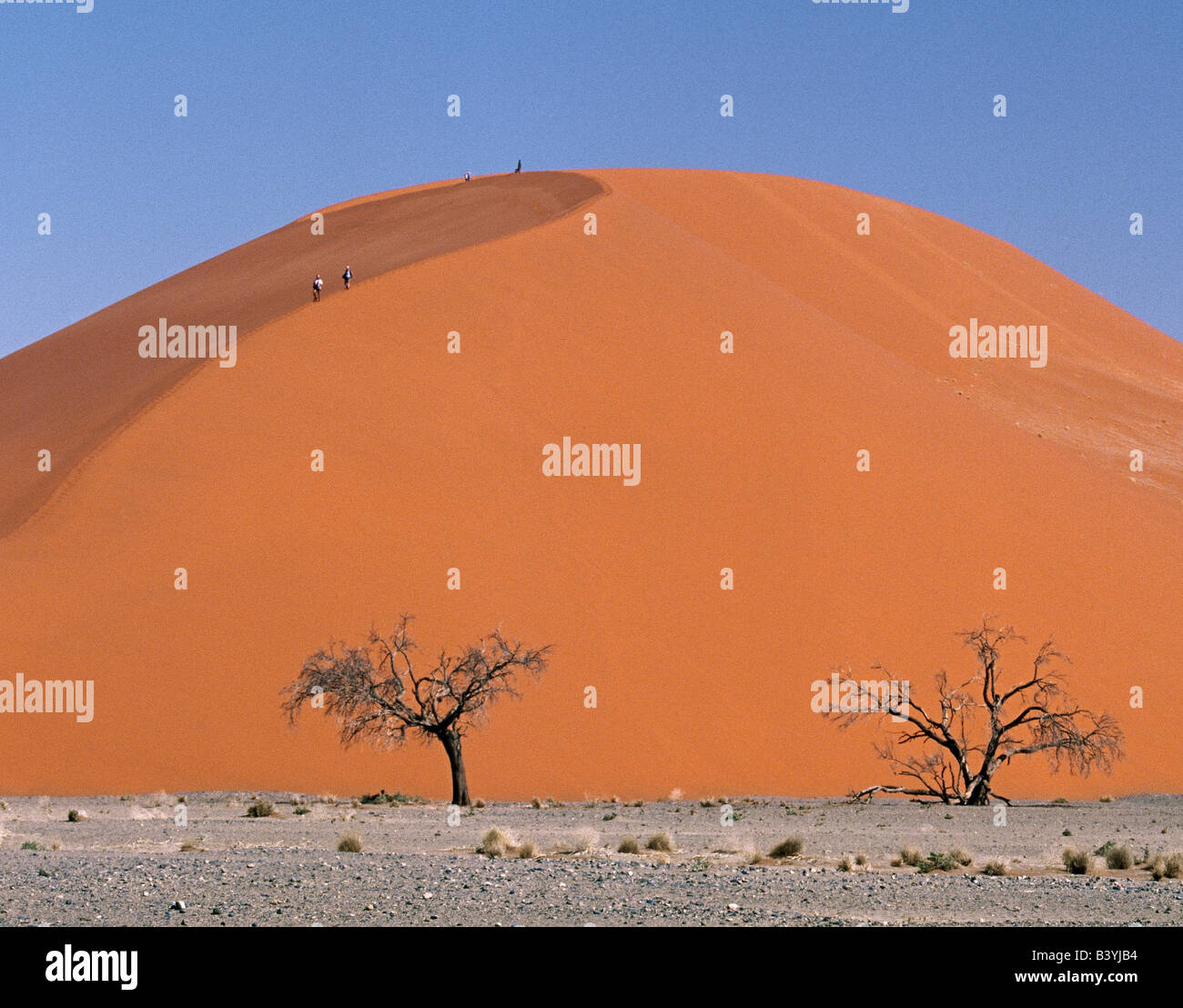 La Namibia, Namib Desert, Sesriem. I visitatori a Sesriem escursione a piedi su e giù Dune 45 nel tardo pomeriggio. Questa duna, così chiamato perché Foto Stock