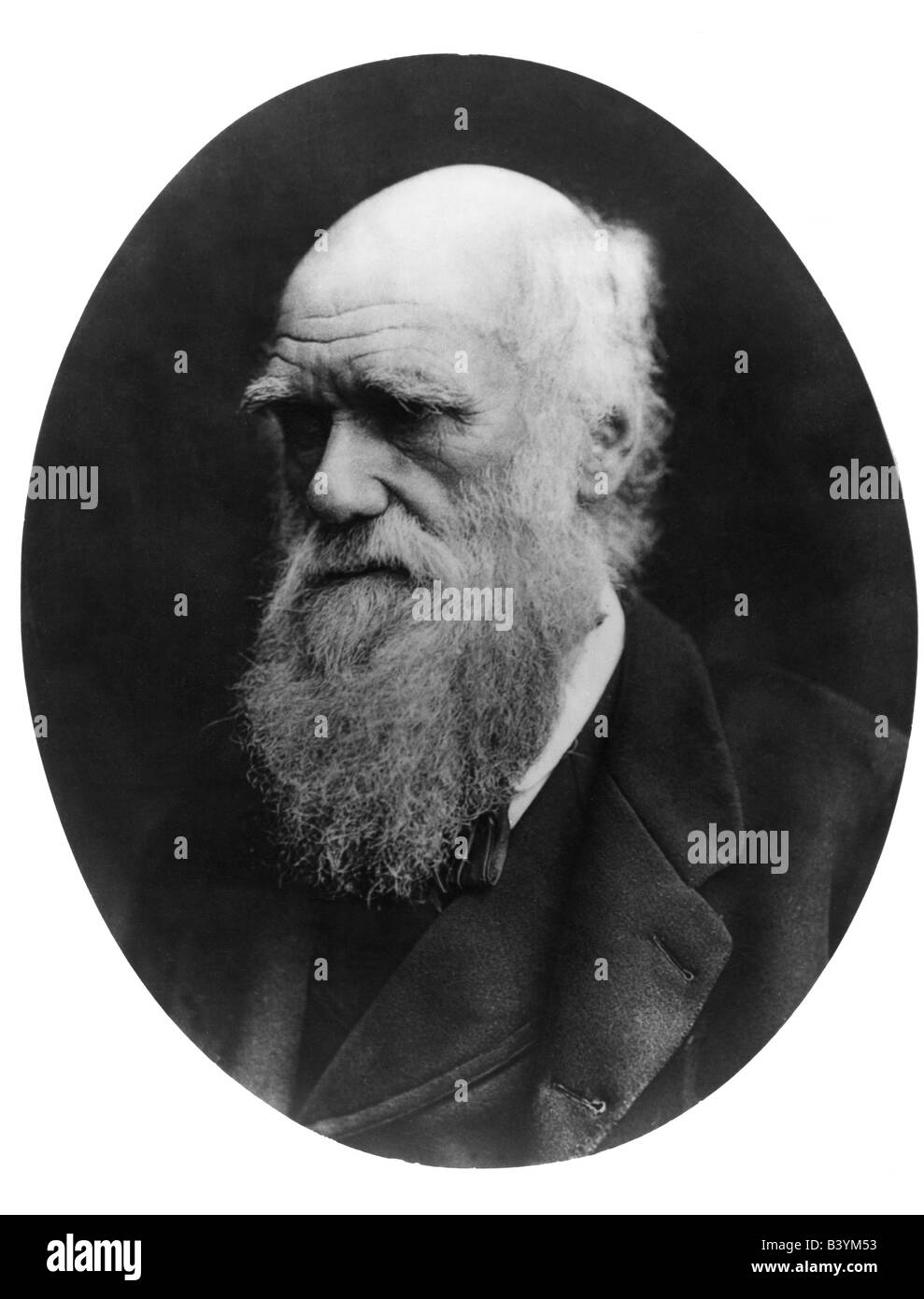 Darwin, Charles Robert, 12.2.1809 - 19.4.1882, naturalista britannico, ritratto, fine 19th secolo , Foto Stock
