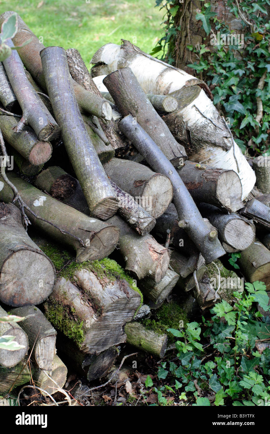 Rotoli tagliati e memorizzati durante la stagione invernale vengono essiccate per una stagione in situ e fornire preziosi habitat GARDEN Foto Stock