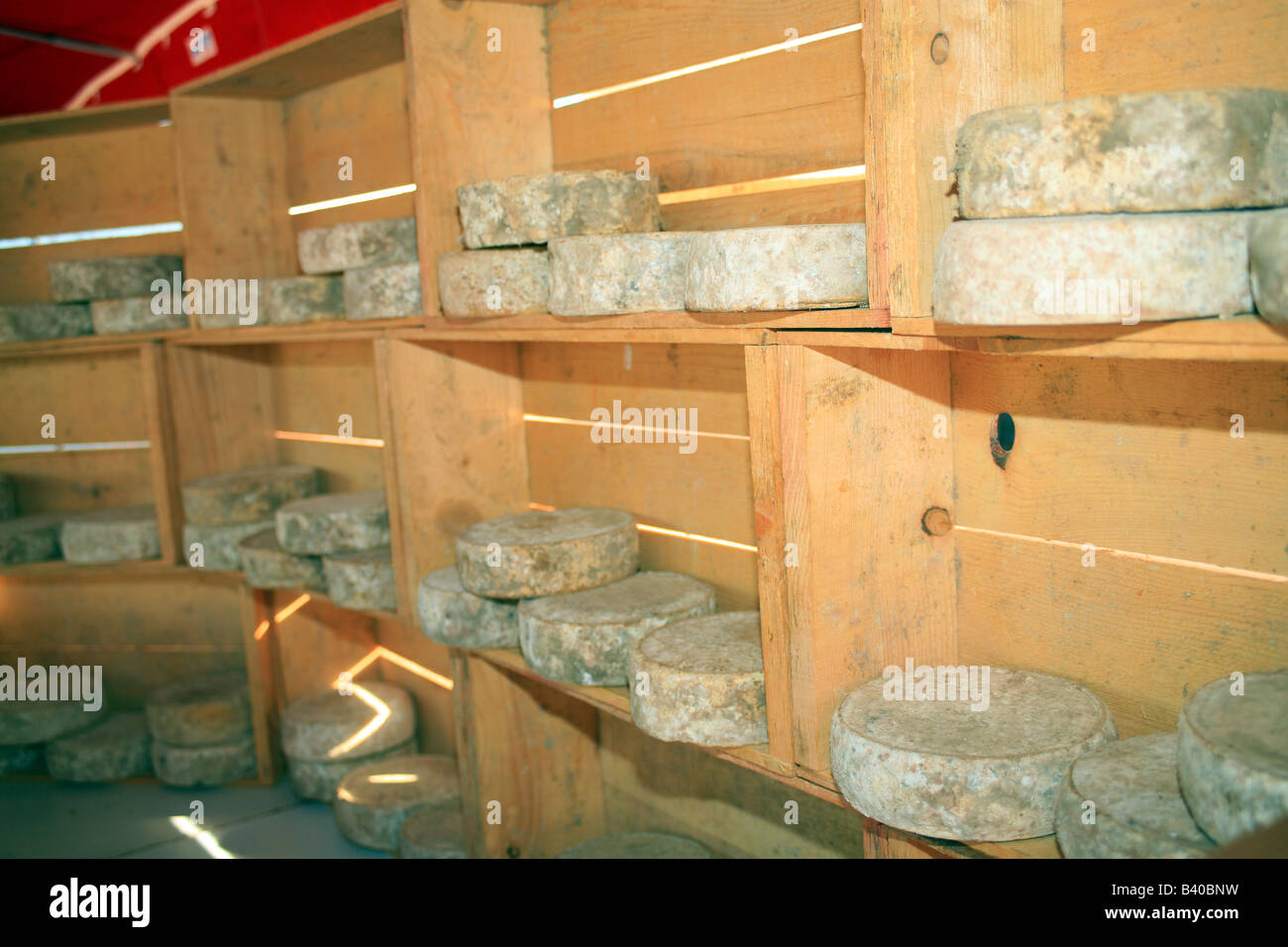 Mostra di formaggi presso la bancarella di St Cast le Guildo, Cotes d'Armor, Bretagna, Francia Foto Stock