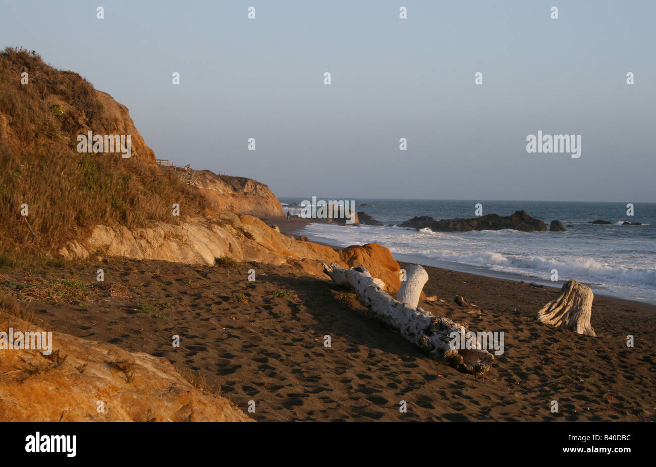 Driftwood On Moonstone Beach. Foto Stock