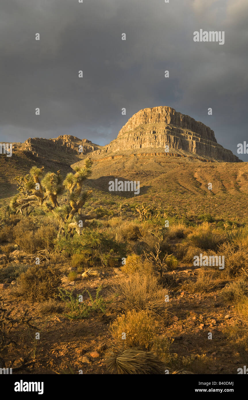 Tramonto al Grand Canyon, Arizona, Stati Uniti d'America Foto Stock