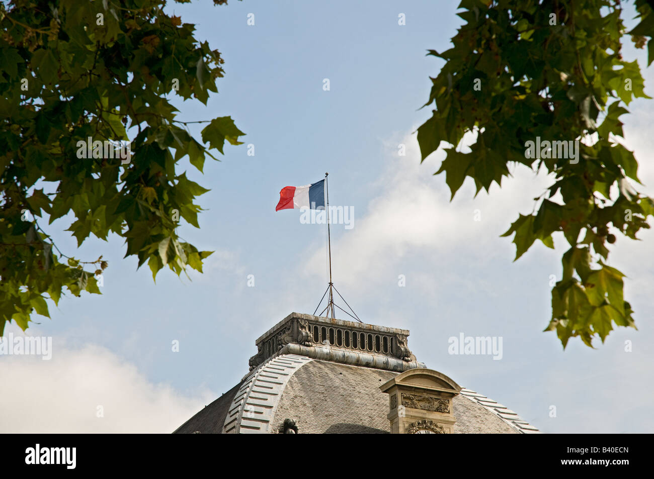 La bandiera francese Foto Stock