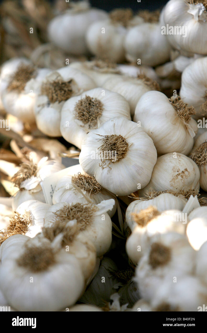 Bulbi di aglio in mostra a Brighton food festival SUSSEX REGNO UNITO Foto Stock