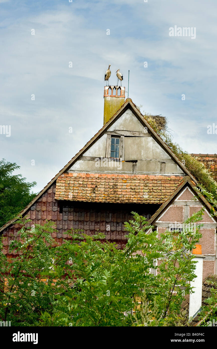 Ecomusée d' Alsace Foto Stock