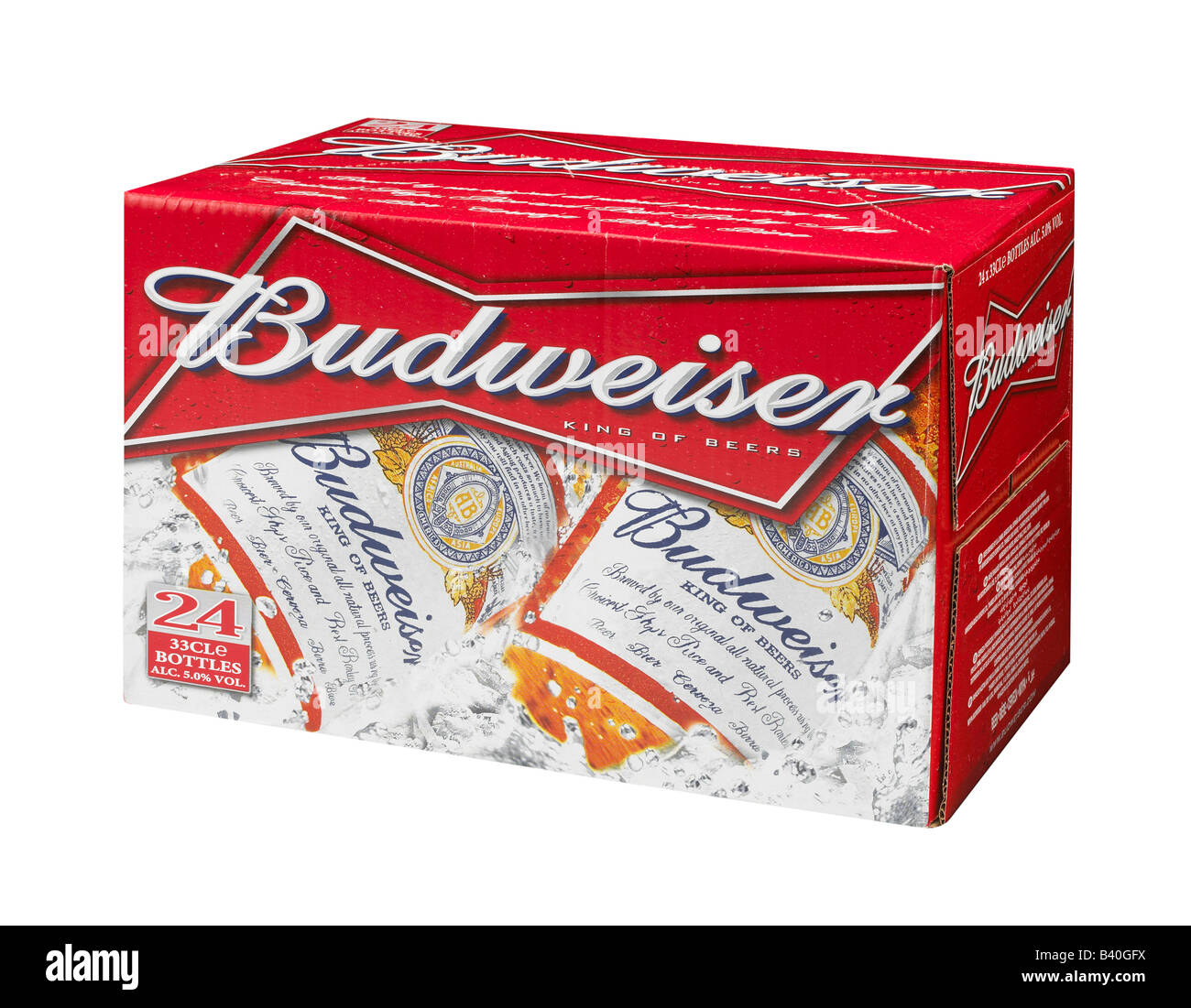 Birra BUDWEISER CARTON Foto Stock