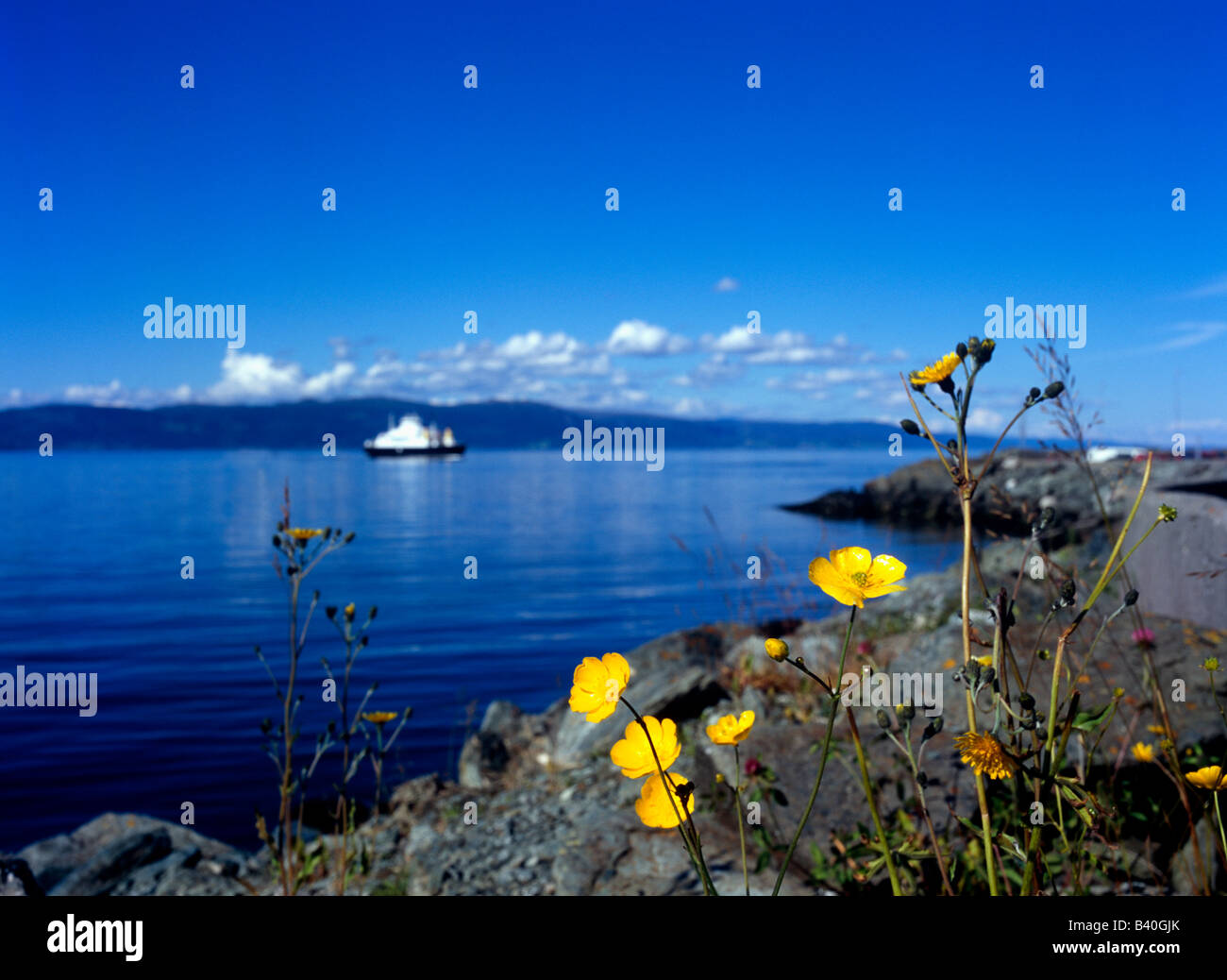 Norvegia, vista attraverso la Flakkfjord Foto Stock