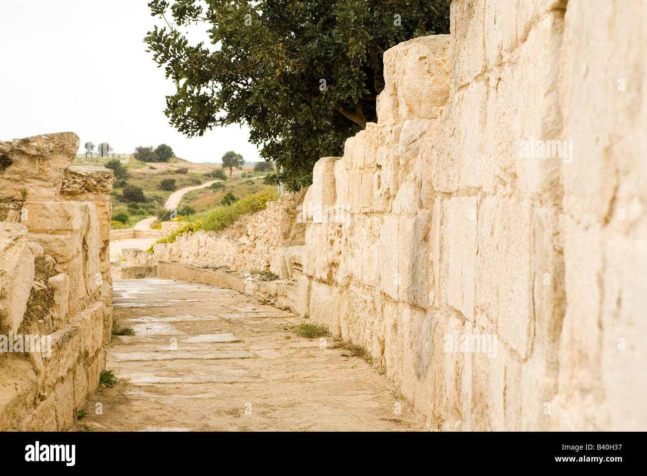 Rovine romane di Kourian, Cipro. Foto Stock