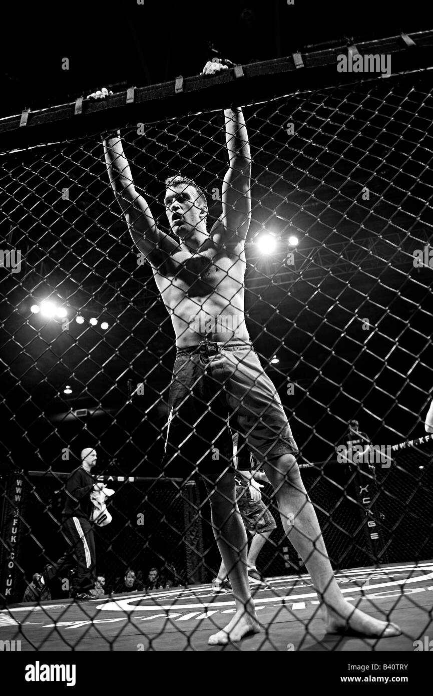 Gabbia fighter in ottagono Foto Stock