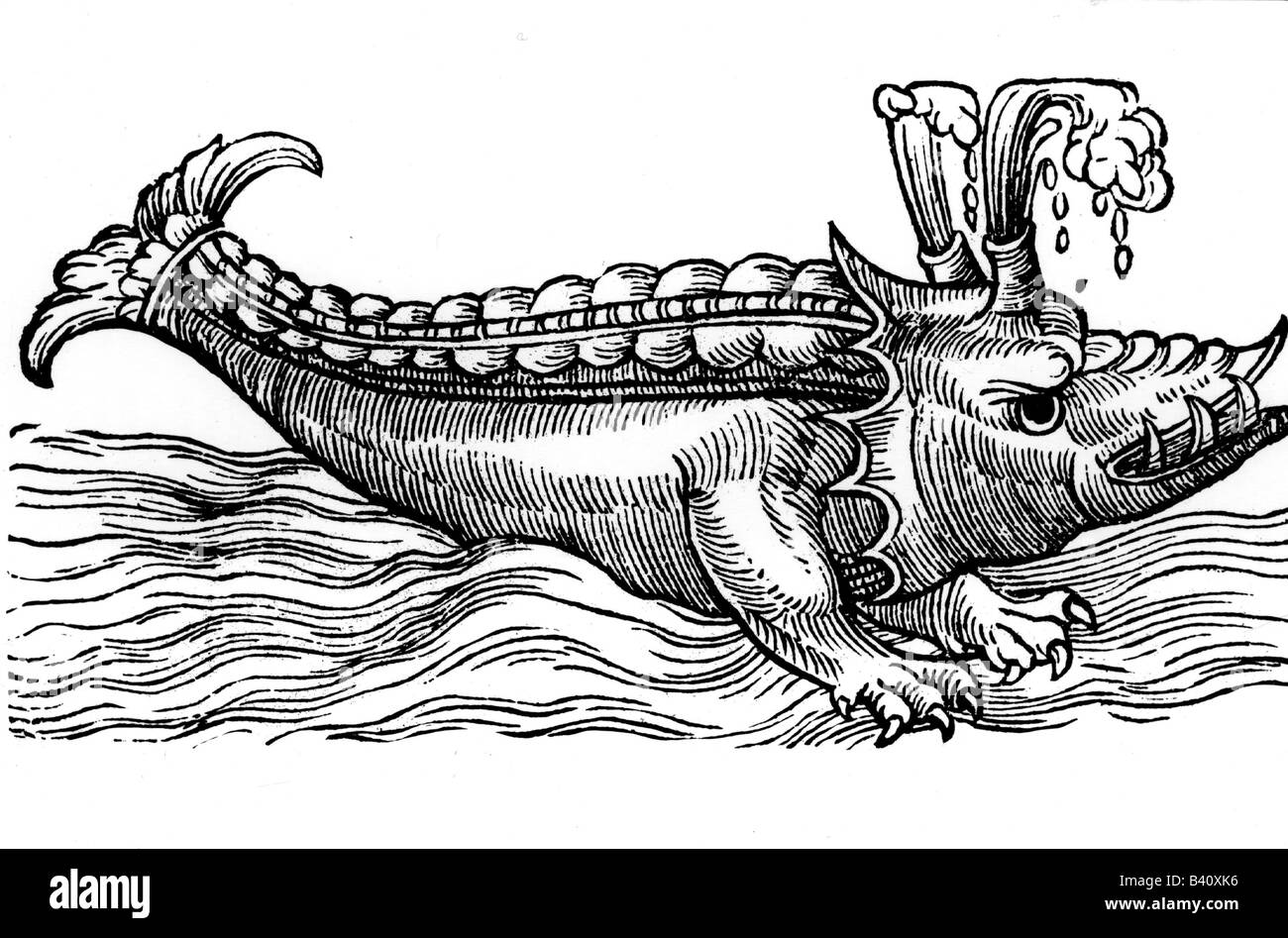 La superstizione, creature mitiche, Cyfius, xilografia, XVI secolo, il mostro marino, zoologia, storico, storico Foto Stock