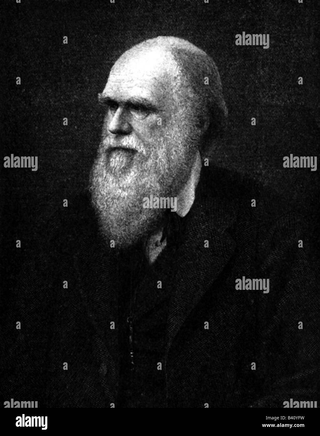 Darwin, Charles Robert, 12.2.1809 - 19.4.1882, naturalista britannico, ritratto, incisione del legno, dopo A. Krausse, 19th secolo, Foto Stock
