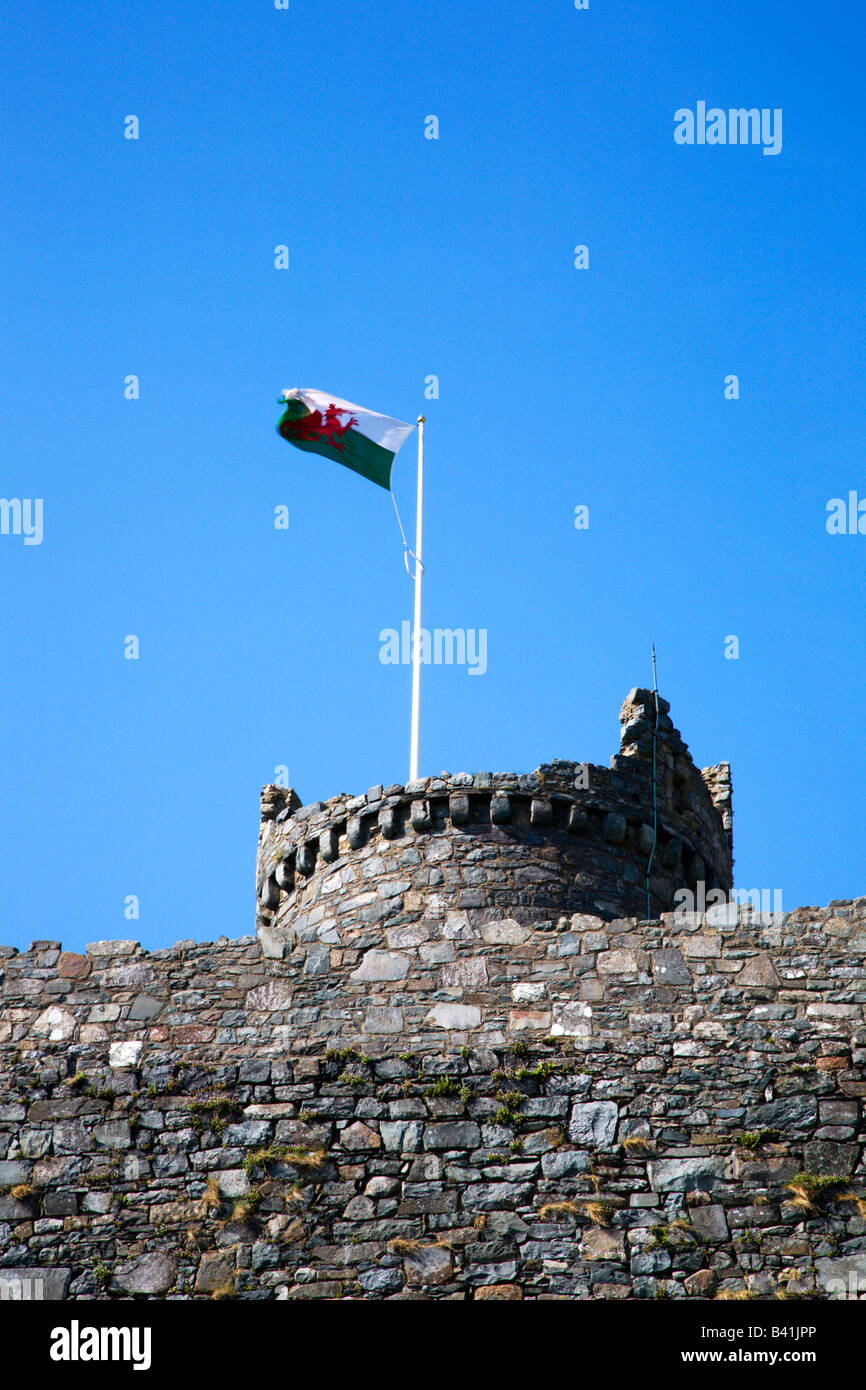La torre e la Bandiera gallese Harlech Castle Snowdonia nel Galles Foto Stock