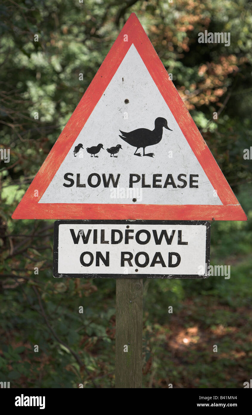 Si prega di lenta Widlfowl sulla strada triangolare di fatto a mano cartello stradale, Wood Hall, Sutton, Suffolk, Inghilterra Foto Stock
