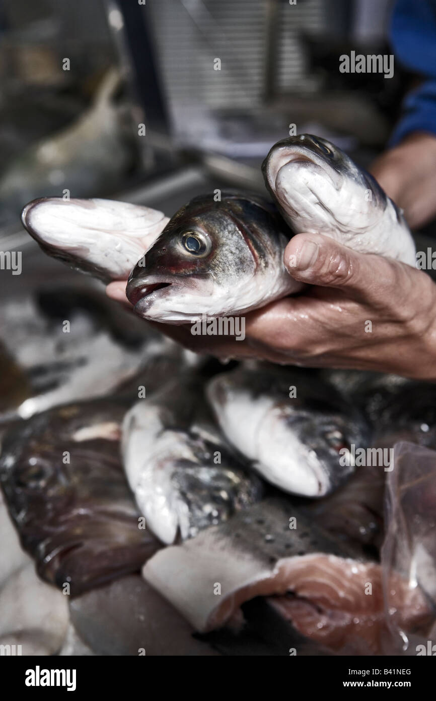 Pescivendolo tenendo il pesce oltre il contatore riempito con ghiaccio Foto Stock