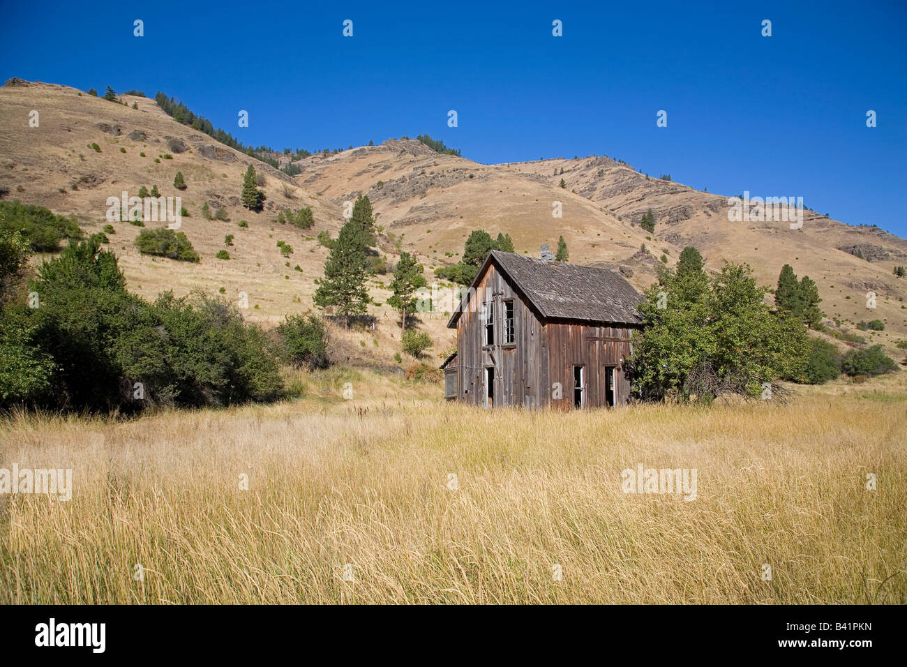 Un vecchio ranch fienile in un campo a secco nel Canyon Inmaha vicino alla cittadina di Inmaha Oregon vicino a Hells Canyon Foto Stock