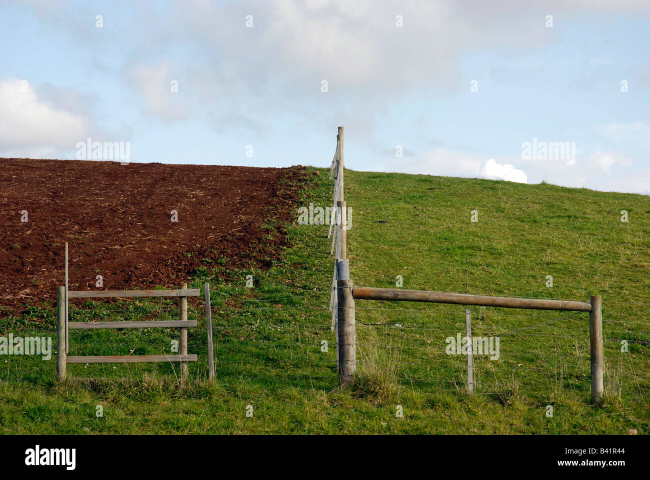 Due Agriturismi paddock illustrano idea l'erba del vicino è sempre più verde sull'altro lato Foto Stock