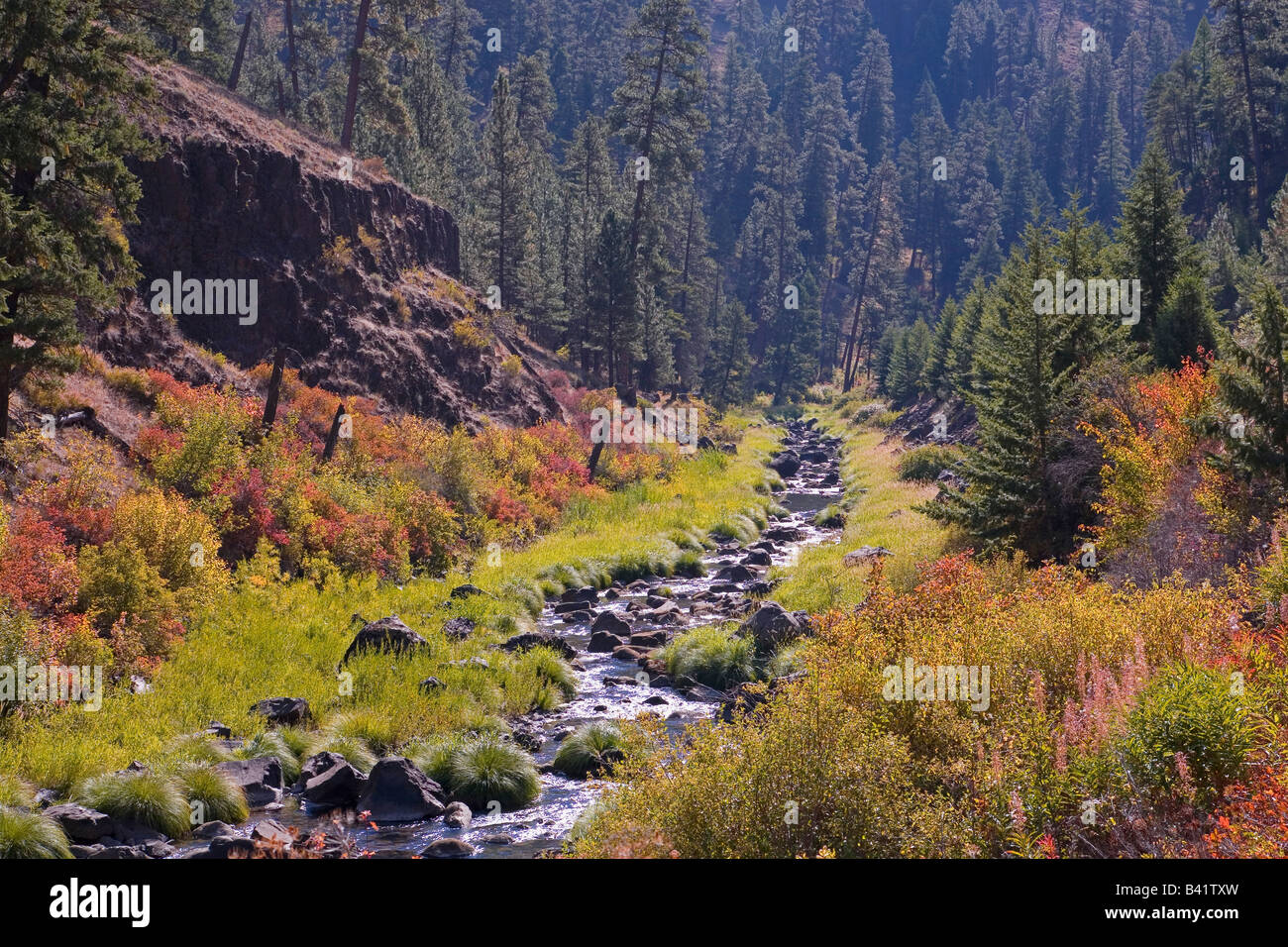 Un piccolo ruscello che si snoda verso il basso un canyon nelle montagne blu Orientale della Oregon in autunno Foto Stock