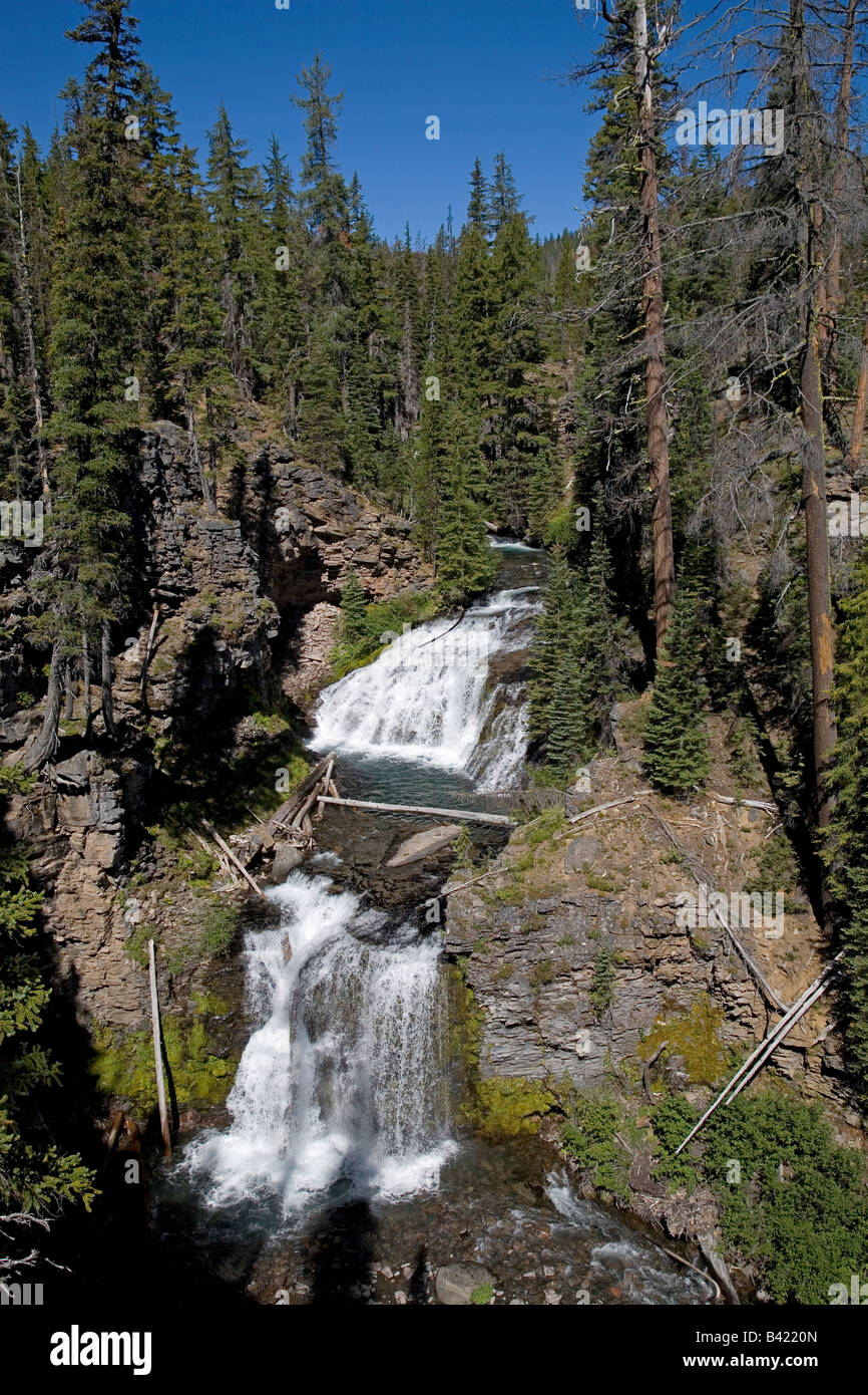 Una doppia cascata lungo la North Fork Trail vicino Tumalo scende in basso Le Cascade Mountains vicino a curvatura Oregon Foto Stock