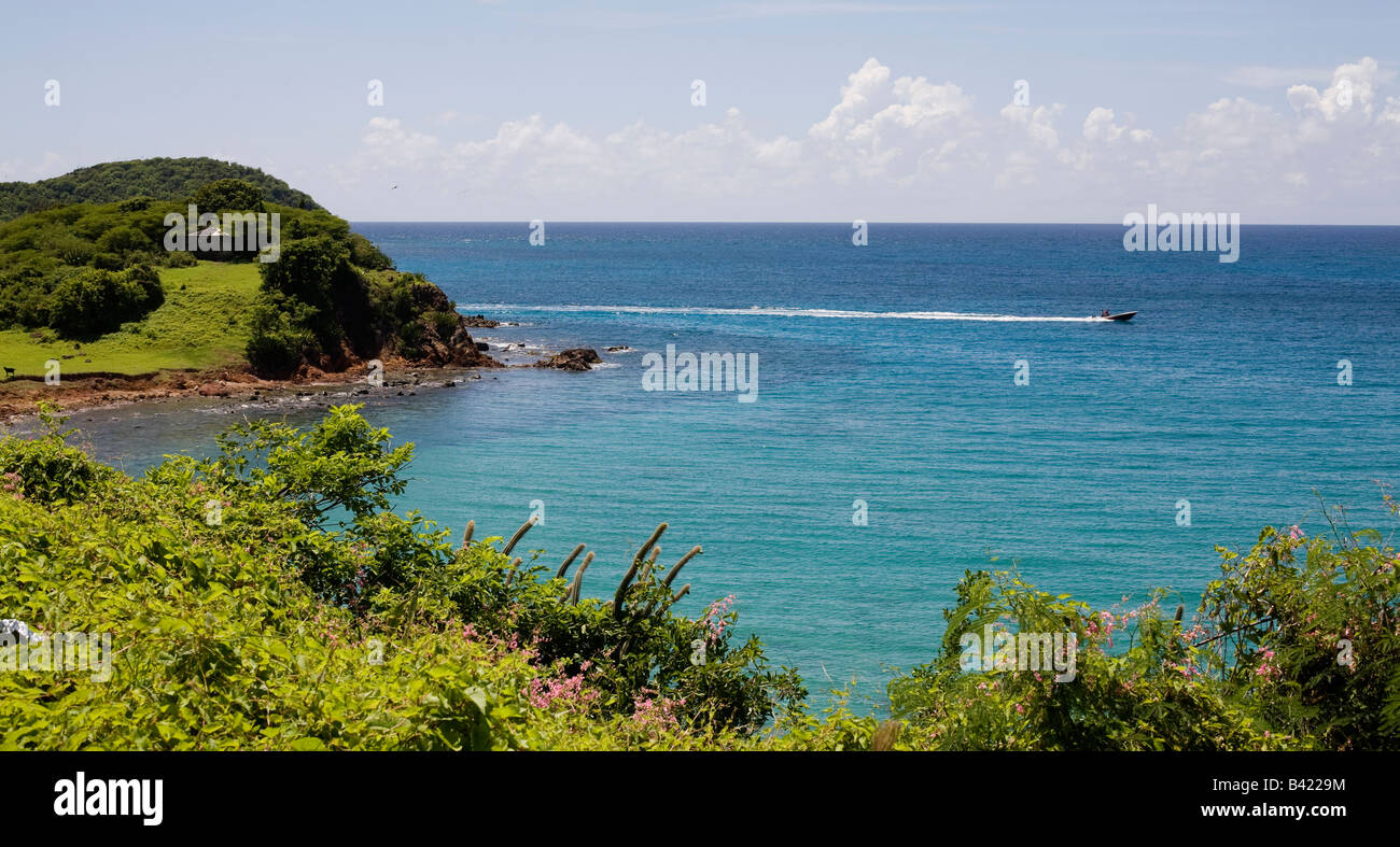 Una barca a motore in Morris Bay sulla costa sud di Antigua Foto Stock