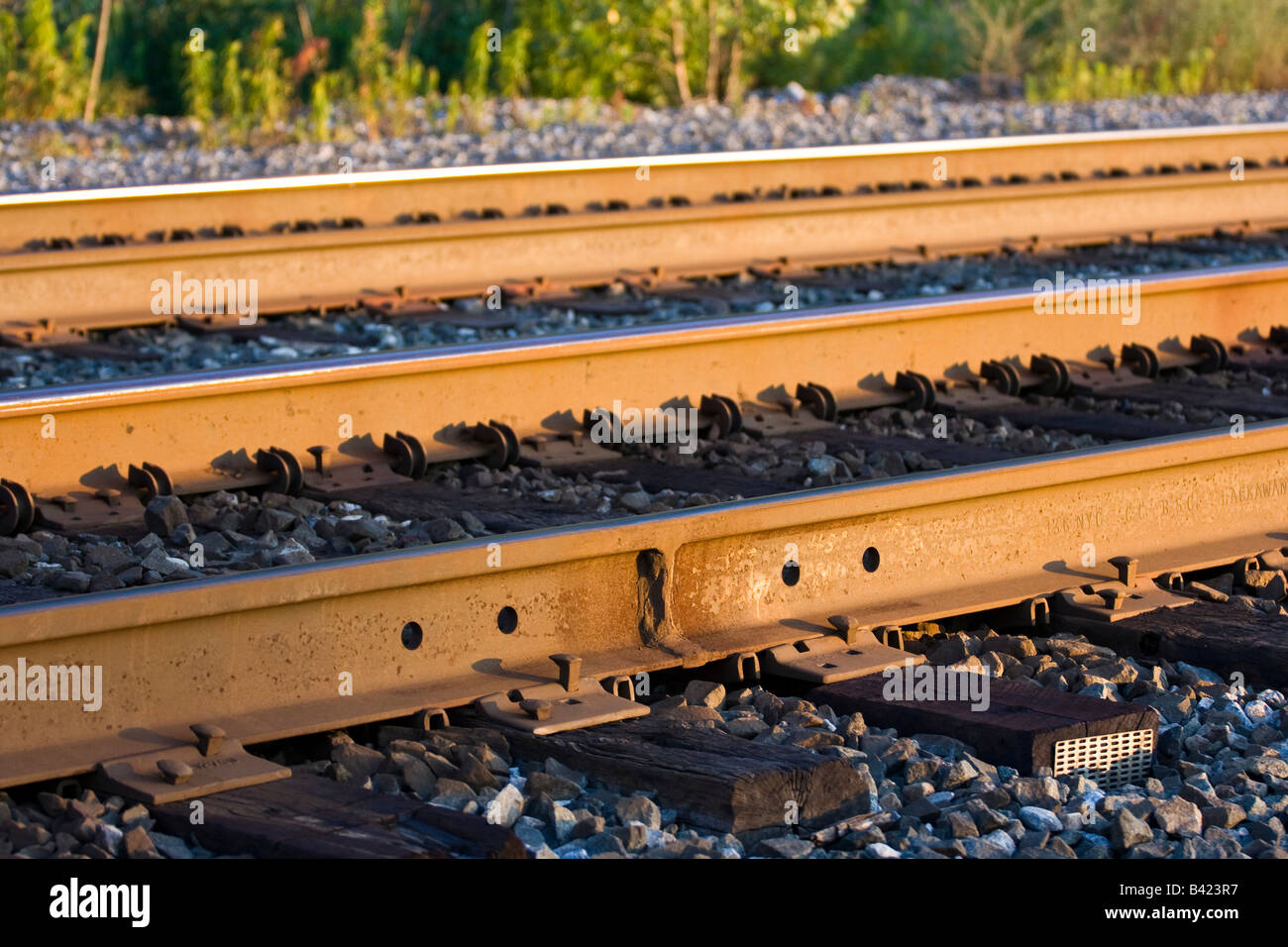 Binari del treno in tarda serata sun appena prima del tramonto. Foto Stock