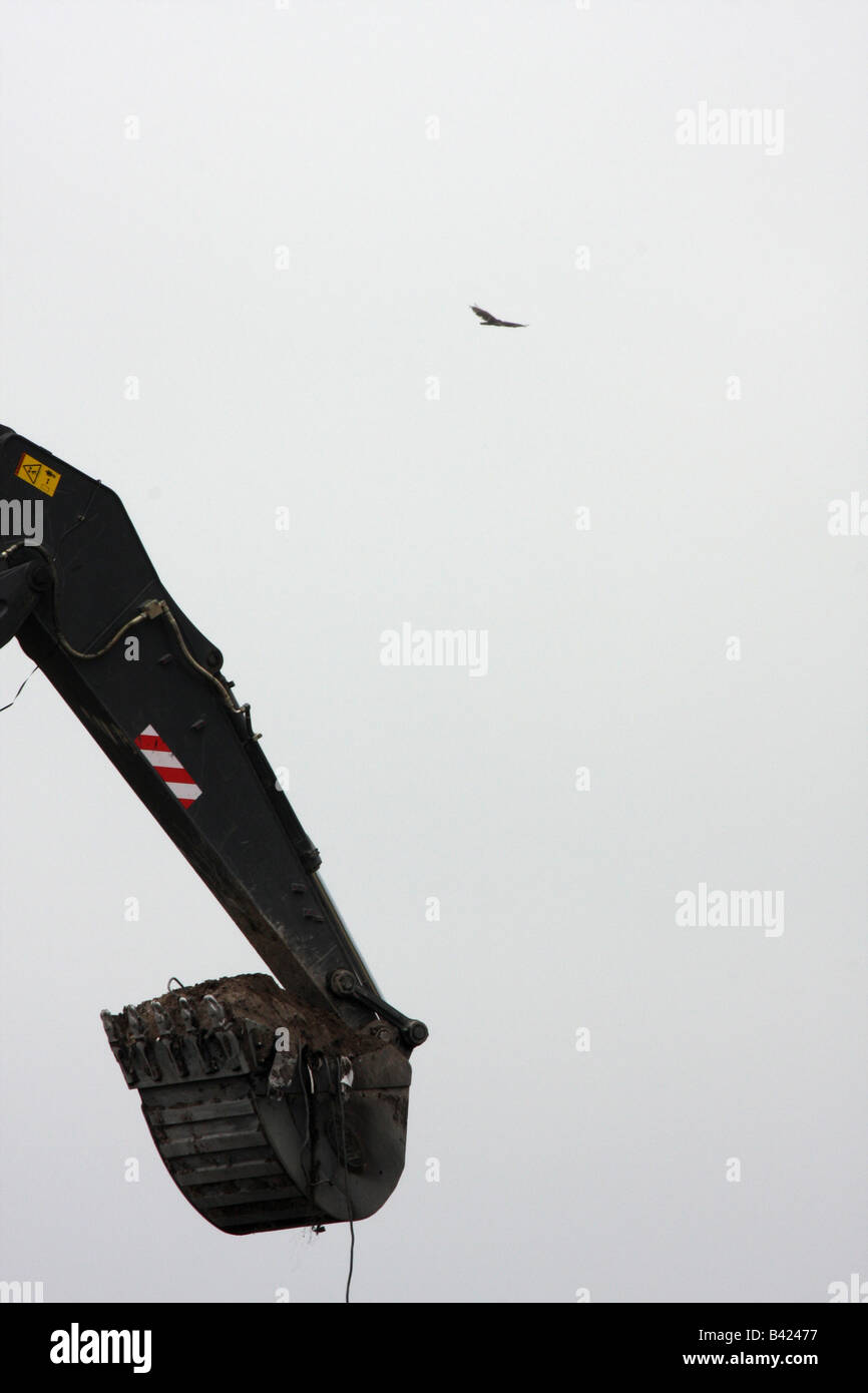 Il cucchiaio rovescio in una discarica dei rifiuti la gestione del sito con un tacchino avvoltoio volare nel cielo Foto Stock