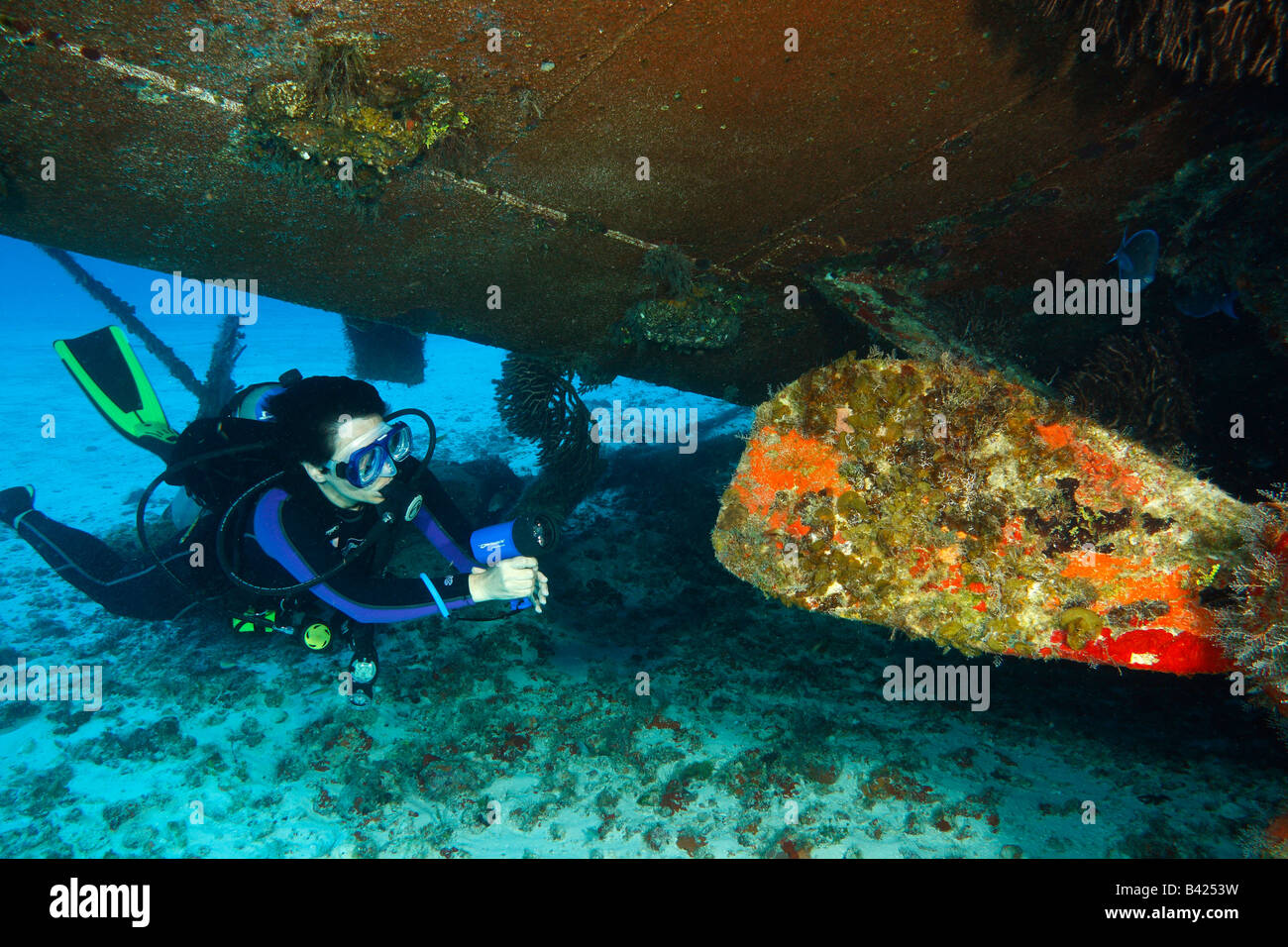 Giovani femmine subacqueo ad esplorare il propulsore danni sulla nave relitto di una nave militare "Felipe Xicotencatl' Foto Stock