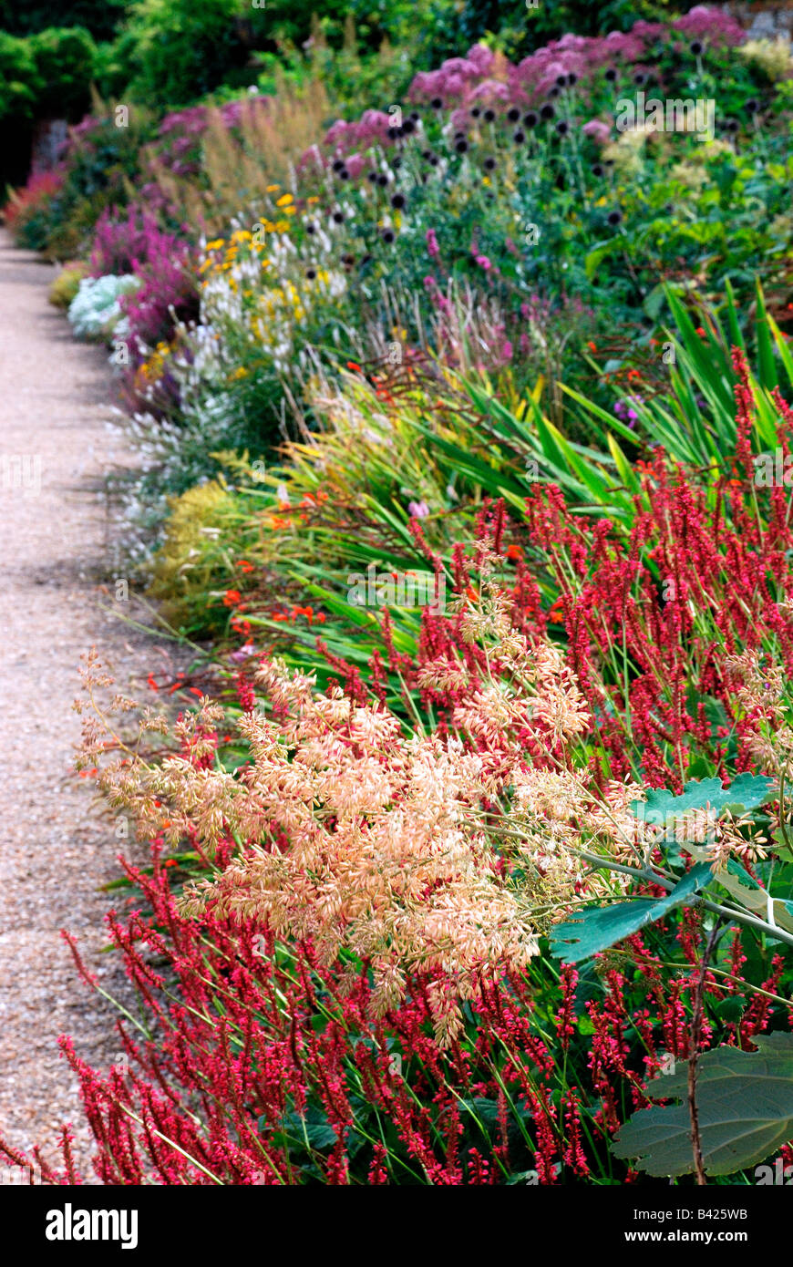 Colorato giardino confine fiore Foto Stock