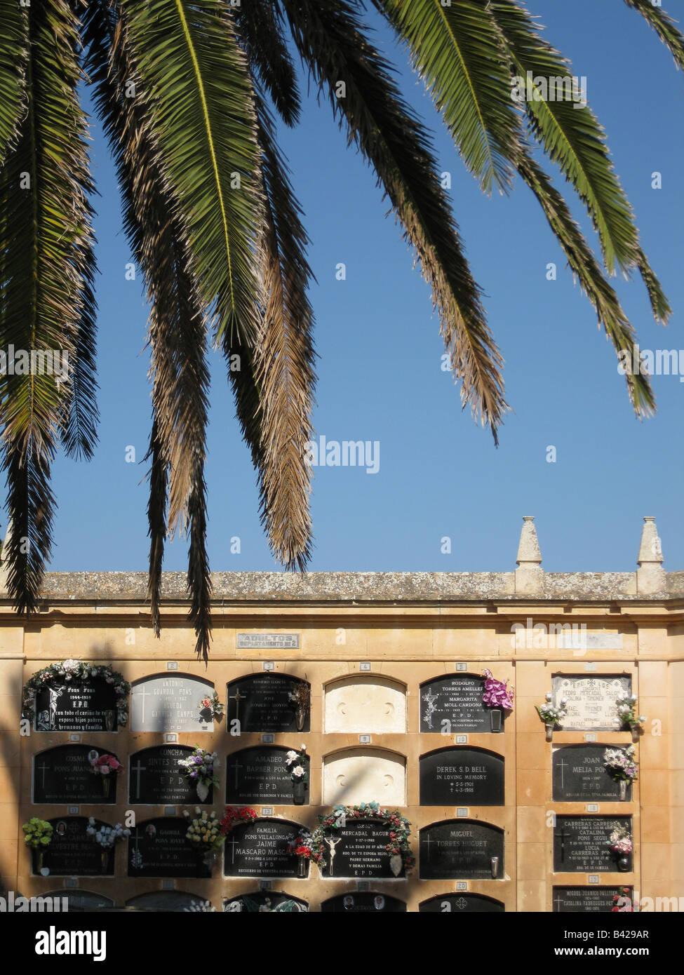 Un albero di palma al di sopra di Graves, Cementerio Municipal, Alayor, Menorca, Spagna Foto Stock