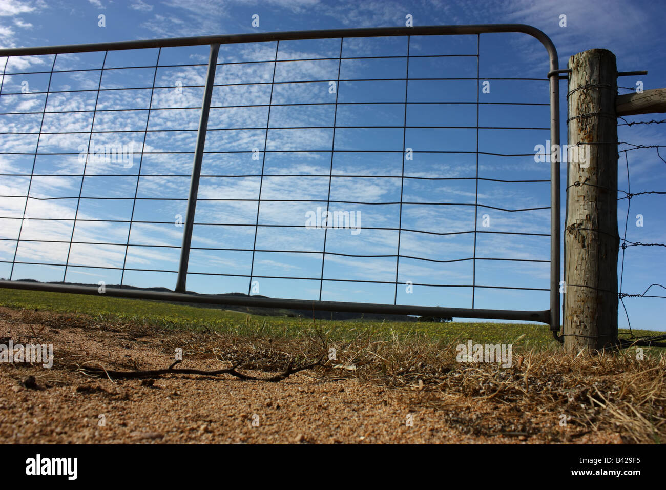 Una fattoria in australia contro un cielo blu con nuvole modellato e pascolo verde Foto Stock